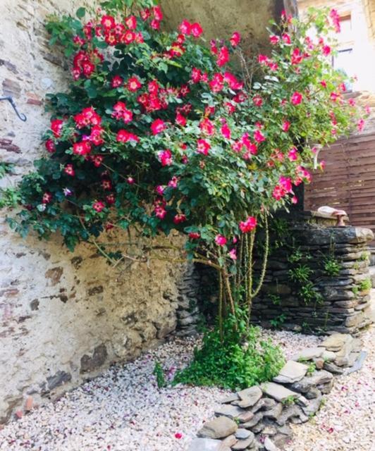 Gîte Valescure Saint-Michel-de-Dèze Extérieur photo